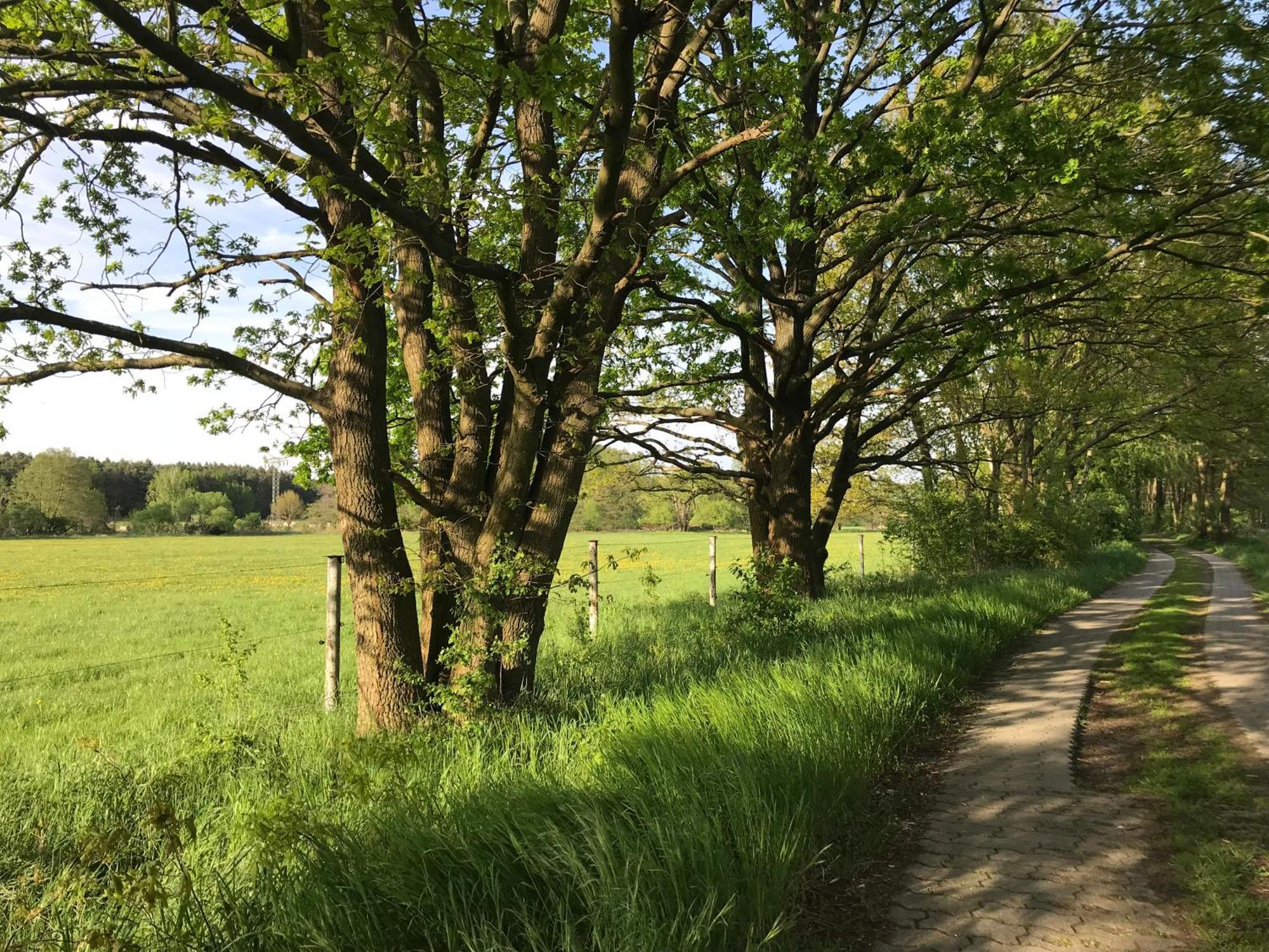 Ferienwohnung Ortrand - Pension エクステリア 写真