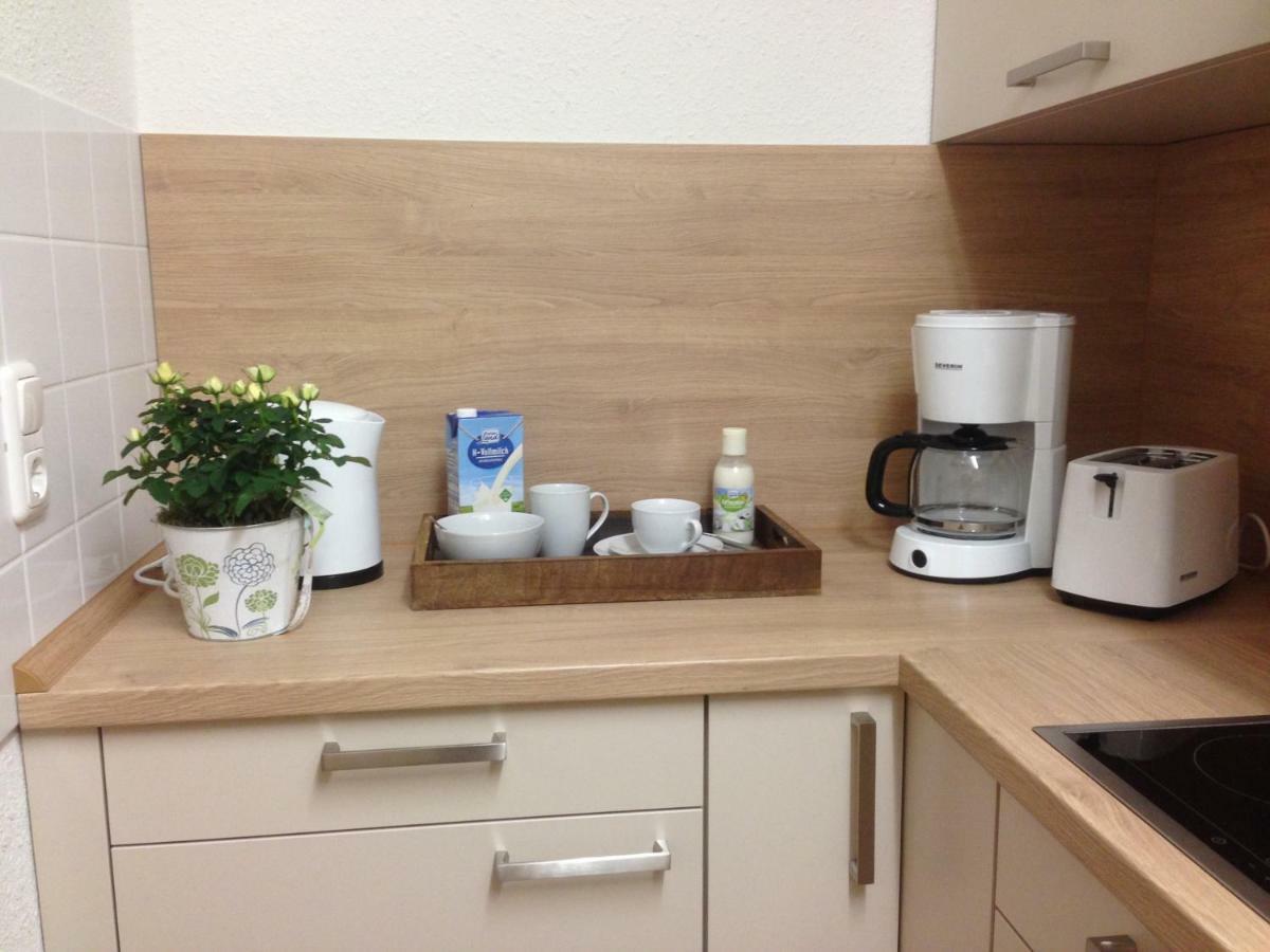 Ferienwohnung Ortrand - Pension エクステリア 写真